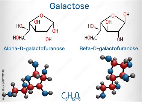 Galactose Alpha D Galactofuranose Beta D Galactofuranose Milk Sugar