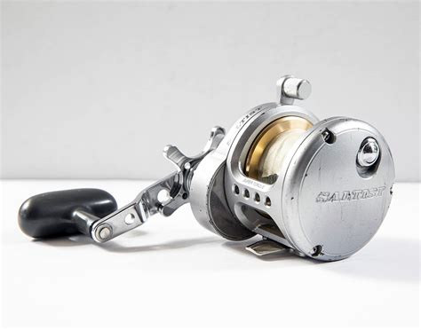 Southern California Daiwa Saltist T Sd Bloodydecks