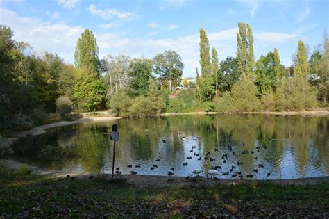 16 mitarbeiter wurden verletzt, vier weitere werden noch vermisst. Leverkusen, Bild: Rheindorfer See