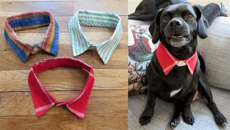 7 Easy Diy Dog Accessories Projects Dog Clothes Diy Diy Dog Collar