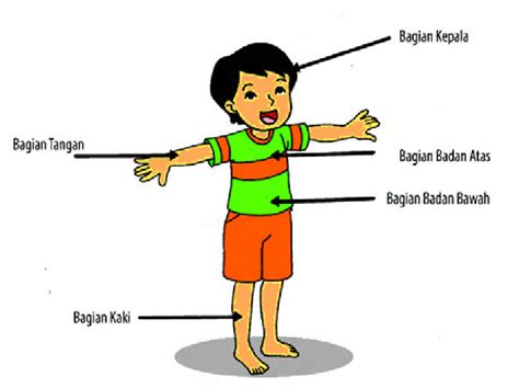 We did not find results for: winiwimpi: subtema organ tubuh manusia dan hewan kurikulum ...