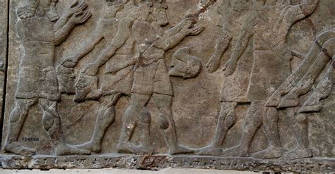 Assyrian Wall Relief