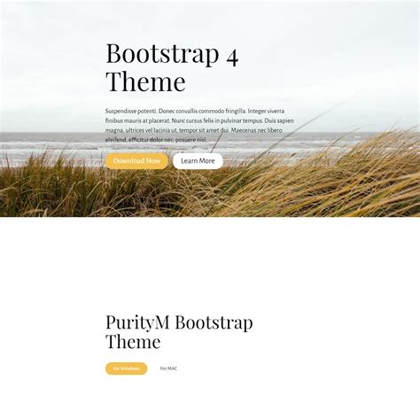 80 Free Bootstrap Templates You Cant Miss In 2022 Eu Vietnam