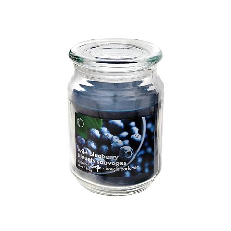 Ihcasad Cor Blueberry Scented Jar Candle Wayfair