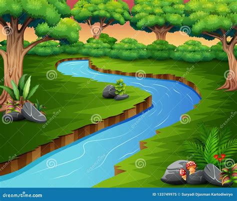Nature Scene Of River In The Forest Stock Vector Illustration Of