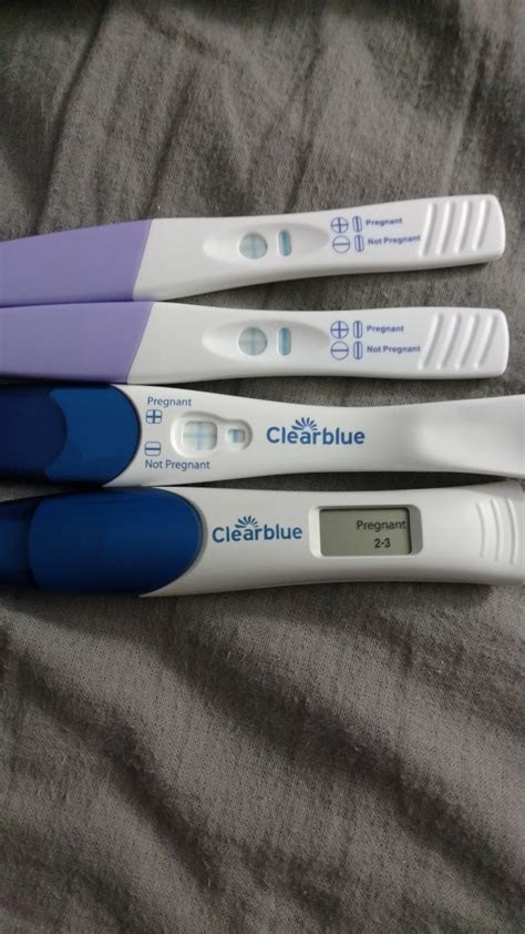 What Does Pregnancy Test Negative Mean What Causes A False Negative On A Pregnancy Test