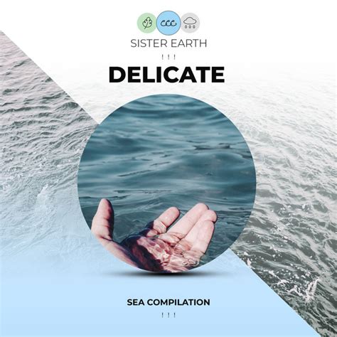 Delicate Sea Compilation Album By Sleep Waves Spotify