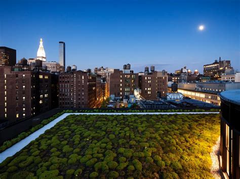 An Architects Guide To Green Roofs Architizer Journal