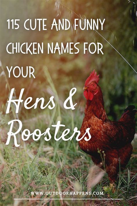 115 Cute And Funny Chicken Names Funny Chicken Names Chicken Names