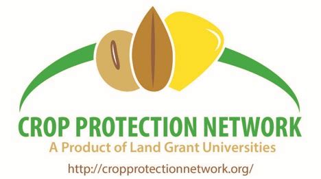 The weeds spread crop pests and diseases by acting as alternate host to insects and microorganisms. New resources for field crop disease management ...