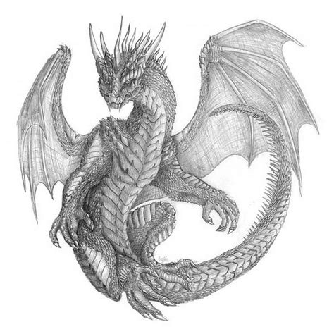 Free Dragon Drawing Download Free Dragon Drawing Png Images Free