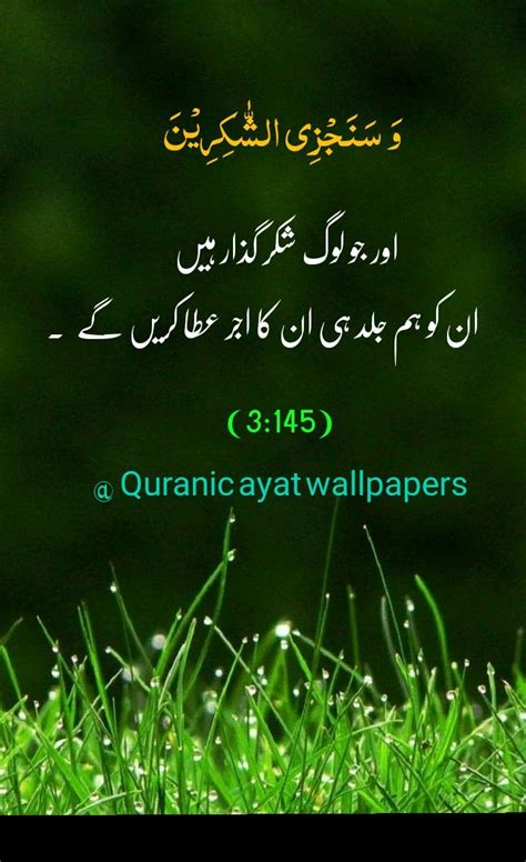 Qurani Ayat With Urdu Translation Quran Quotes Verses Quran Quotes