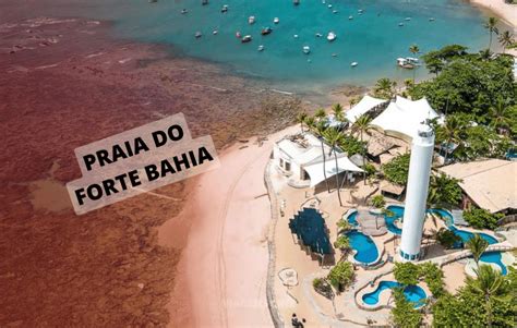 Praia Do Forte Bahia Dicas E Motivos Para Viajar