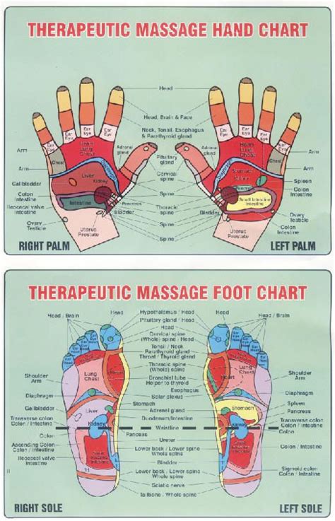 Reflexology Massage Massage Massage Therapy