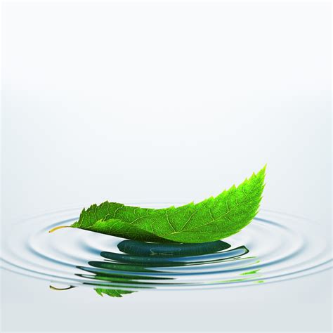 Leaf On The Water Gsp Leaders In Water Soluble Pva Multi Chamber