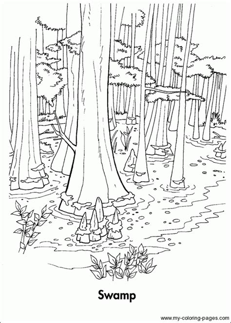 10 Swamp Coloring Page Ideas Yatfsba