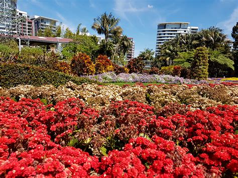 Desfile de craques pelos gramados brasileiros. Identifique a hora certa para cuidar dos jardins e ...