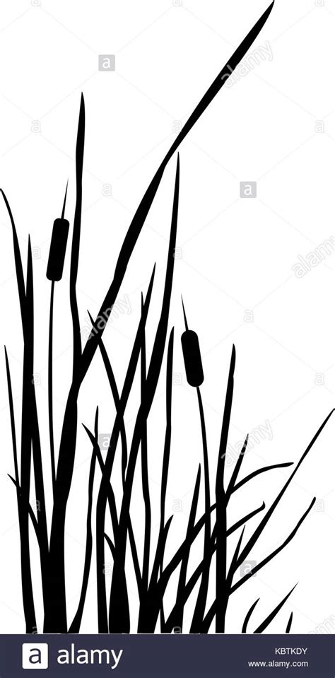You can copy, modify, distribute and perform the work, even for commercial purposes, all without asking permission. Grasses Silhouette at GetDrawings | Free download