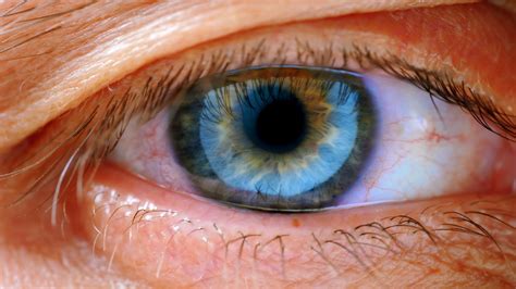 Extreme Close Up Human Eye Iris Stock Footagehumancloseextremeeye