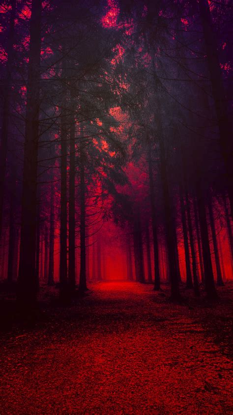 Artistic Red Forest In 1080x1920 Resolution Hd Dark Wallpapers Red