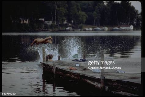 women skinny dipping photos and premium high res pictures getty images