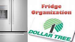 CHEAP FRIDGE ORGANIZATION | Best Dollar Tree Ideas