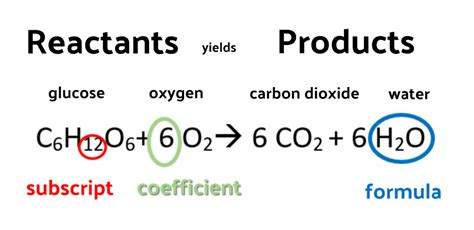 Spice Of Lyfe Chemical Equation For Water And Carbon Dioxide