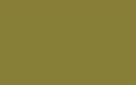 We did not find results for: 2560x1600 Old Moss Green Solid Color Background