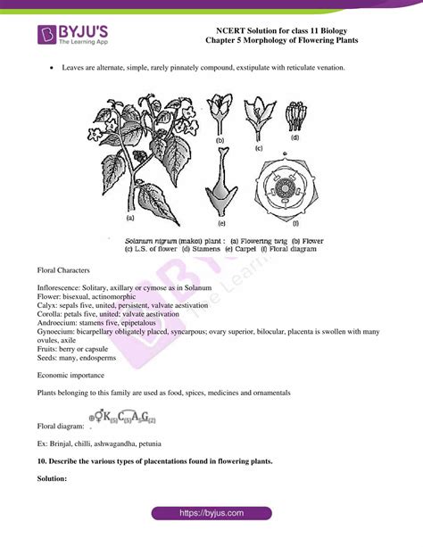 Ncert Solutions For Class 11 Biology Morphology Of Flowering Plants