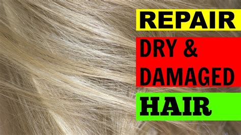 Mar 19, 2021 · naturally, it will also depend on how much work you need to have done and on how many teeth. HOW TO FIX DRY DAMAGED HAIR AT HOME! REPAIR HAIR! - YouTube