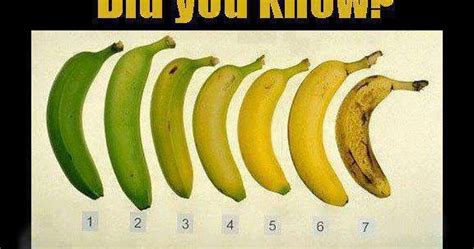 Your Spanish Recipes Eating Just 1 Banana A Day Increases Immunity