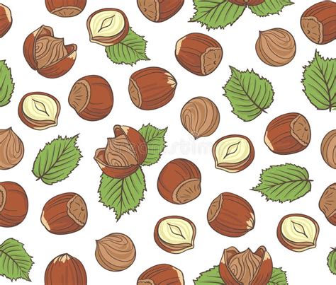 Seamless Pattern With Hand Drawn Hazelnuts On White Background Stock