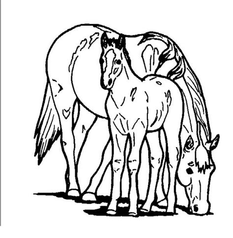 Teach your kid about this grand animal using these 48 free printable coloring pages. Horse Eating with Baby Horse in Horses Coloring Page ...