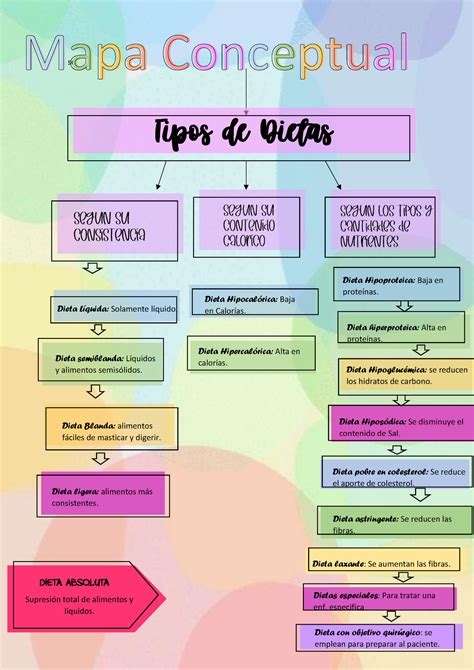 Mapa Conceptual De Tipos De Dieta Studocu