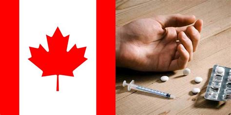 Connects with paypal to fund or cash out. Drug Use in Canada