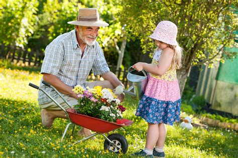 Myhomebook stellt giftige heimische pflanzen vor. Giftige, ungiftige und kinderfreundliche Pflanzen im Garten