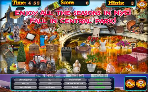 Hidden Objects New York City Times Square And Central Park Freeamazon