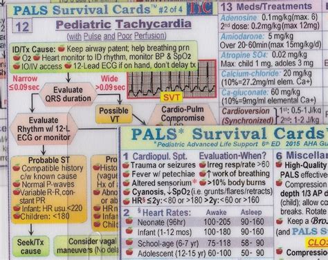 Survival Cards