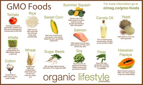 GMOs for Newbies- | Real Food Girl
