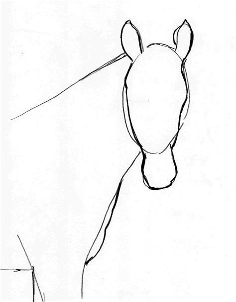Simple Horse Head Drawing At Explore Collection Of