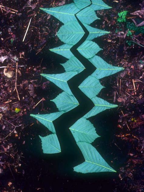 Featured Artist Andy Goldsworthy The Art Of Nature