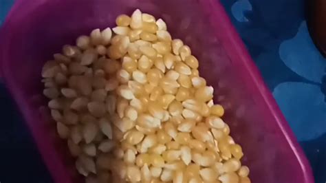 Jun 05, 2021 · akhirnya terkuak cara membuat rendang empuk dan tahan lama cuma dalam hitungan menit, dijamin mirip sama rumah makan padang! Cara membuat popcorn jagung - YouTube