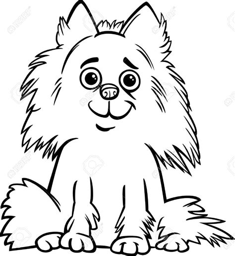 Pomeranian Coloring Page