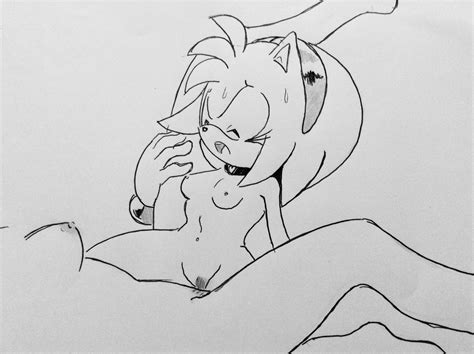 Rule 34 2girls Amy Rose Anthro Breasts Female Furry Human On Anthro