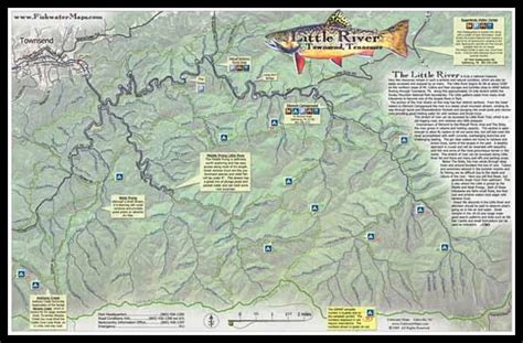 Trout Fishing In Tennessee Map Unique Fish Photo