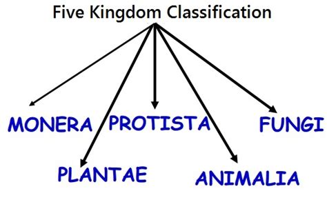 Biological Classification Cbse Class 11 Biology Notes Chapter 2