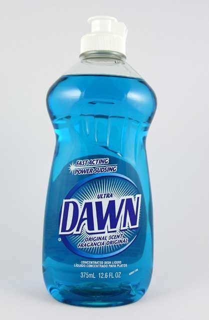 If you bathe them in it then no as long as it is dawn dishsoap. 28 Ways To Use Dawn Dish Soap That Will Make Your Life ...