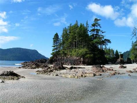 Hiking Vancouver Island North Coast Trail Guided Adventure Tours