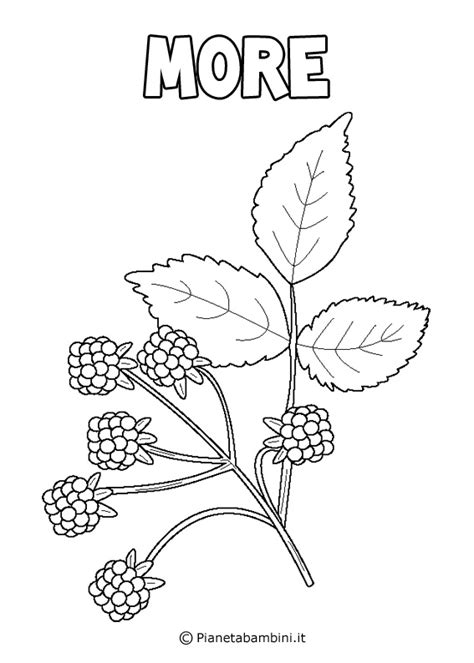 Mar 22, 2017 · 216 216sharesqui potrete scaricare gratuitamente materiali didattici : Disegni di Frutta da Stampare e Colorare | PianetaBambini.it