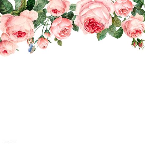 Hand Drawn Pink Roses Frame On White Background Vector Free Image By